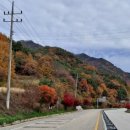 덕유산(상)휴게소 이미지