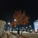 홍콩반점0410송도SK뷰