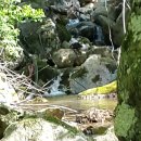 문바위농장 | ※ 전남 화순군 북면 백아산 여행후기(전편)