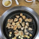 인생네컷강원