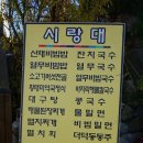 시랑대비빔밥 이미지