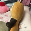 희 이미지