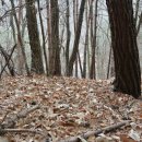 웅천삼거리건너 이미지