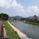 지리산인월송 이미지