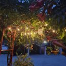 파파지붕펜션 이미지