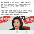 나경원 의원내각제 개헌 발언 이상헌 의원 반응.jpg 이미지