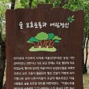 카페찬스