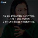 마음편한심리상담센터 이미지