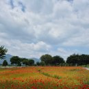 삼문강변로 이미지