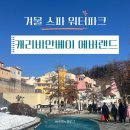 겨울 캐리비안베이 온천/워터파크 로시즌 &amp; 에버랜드 방문후기