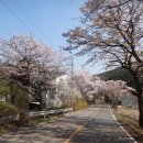 송정주차장 이미지