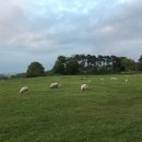 간양농장 이미지