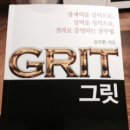 2014년, 세번째 "그릿(GRIT)" 이미지