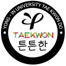 용인대학사태권도장 이미지