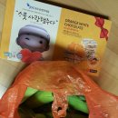 제주에서 첫옥수수가 나왔네여.... 이미지