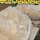 수정세탁빨래방 이미지