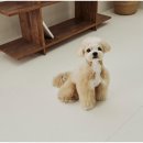 휴인 | 강아지 미끄럼방지 매트 시공 휴인매트 추천 후기