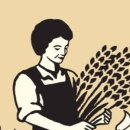 농업회사법인 주식회사 올바른 이미지