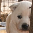 포비PC방 이미지