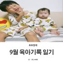 고일태권도 | 8개월아기 발달 끄적, 육아 일상기록