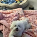 호동이농장 이미지