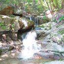 증평톨게이트주유소 이미지