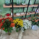 삼육고등학교 이미지