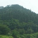 완도공인중개사사무소 이미지