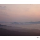 지상의양식