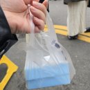 여수 &lt;바다김밥&gt; 이순신광장 맛집 갓참치김밥 포장 후기