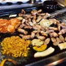 돼지우리 이미지