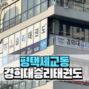 강한태권도 | 평택세교동 태권도장 승리태권도 인기가 많은 이유!