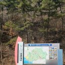 노적봉가든 | 충남 홍성 용봉산 등산 후기 (실제 체감 난이도 포함)