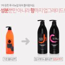 산성볼트