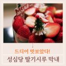 성심당 딸기시루 케이크 튀김소보로 솔직한 후기