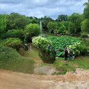 태신목장 이미지