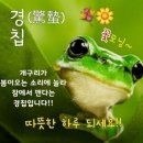 피티에프 이미지