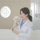 에이드동물병원 이미지