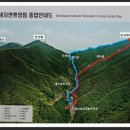 천상데미 이미지