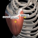 369피트니스 이미지