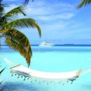 김동진 검도관 이미지