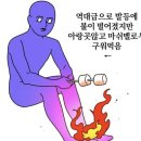here365 이미지
