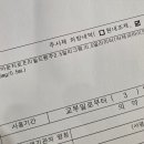 청주플러스약국 | 일상의 기록, 여니로그 ദ്ദി˶˙ᵕ˙˶ ) 청주마운자로 처방 내 돈 내산 1주 차 후기