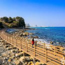 푸른 파도 따라 걷는 1.74km 국내 대표 해안 산책길 명소 이미지