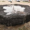 연천학곡리고인돌 이미지