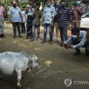 필승농장 이미지