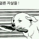 (유) 돈아 돈아