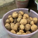 한들마트 이미지