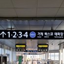 부산자갈치곰장어 이미지