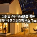 강원도 춘천 애견동반숙소 3곳 추천 - 바비큐 가능 20만원대 넓은 숙소